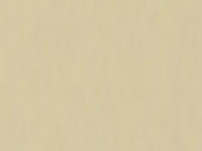420 Beige